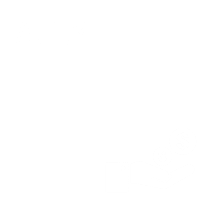 Audyt